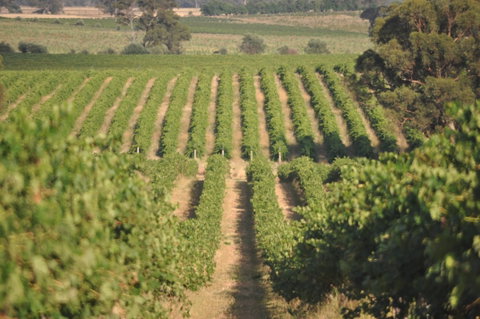 John Gehrig Wines Rutherglen - Kempsey Accommodation 2