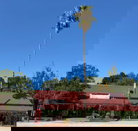 The Vine Hotel North Wangaratta - Kempsey Accommodation