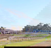 Blacklea Vineyard and Olive Grove - Kempsey Accommodation