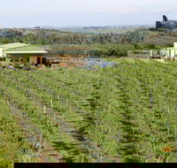 Dindima Wines - Kempsey Accommodation