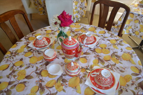 Lazy Teas - Kempsey Accommodation 2