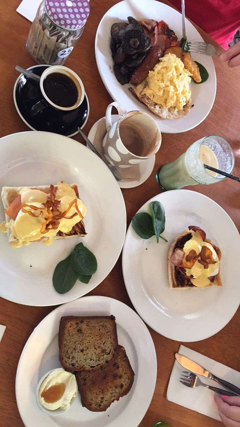 Foxy Bean - Kempsey Accommodation 0