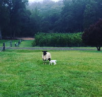 Goat Hill Farm - Kempsey Accommodation
