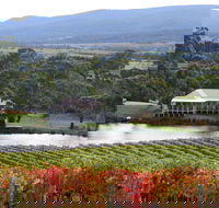 Milton Vineyard - Kempsey Accommodation