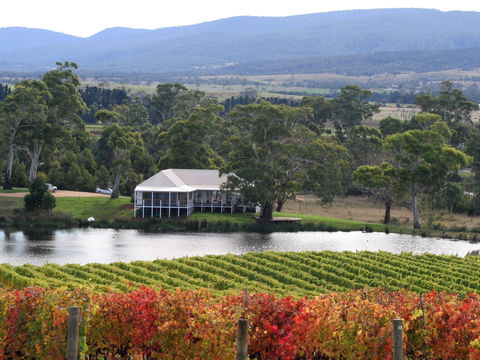 Milton Vineyard - Kempsey Accommodation 0