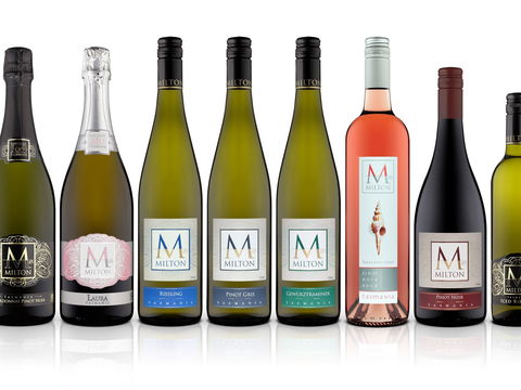 Milton Vineyard - Kempsey Accommodation 1