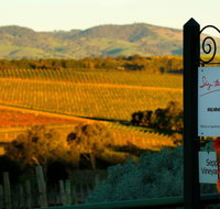 Seize the Day Wines - Kempsey Accommodation