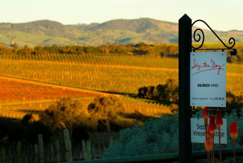 Seize The Day Wines - Kempsey Accommodation 0