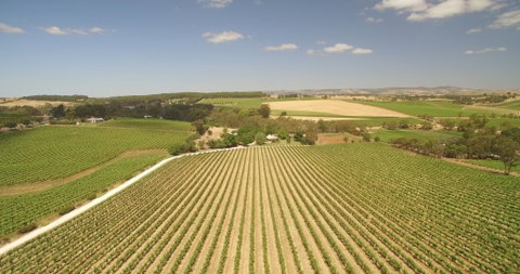 Seize The Day Wines - Kempsey Accommodation 1