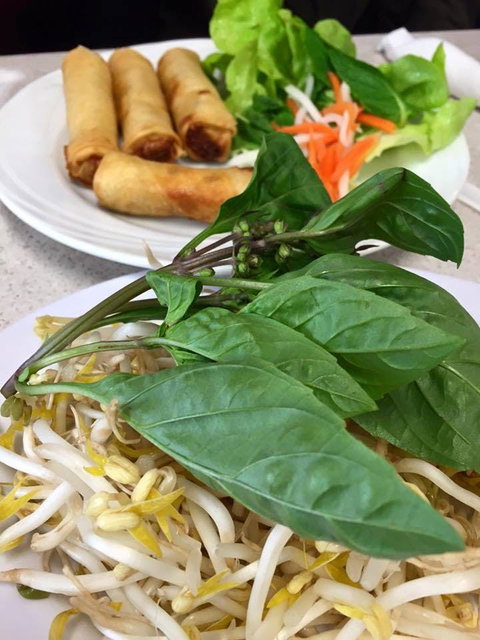PHO 234 - Kempsey Accommodation 0