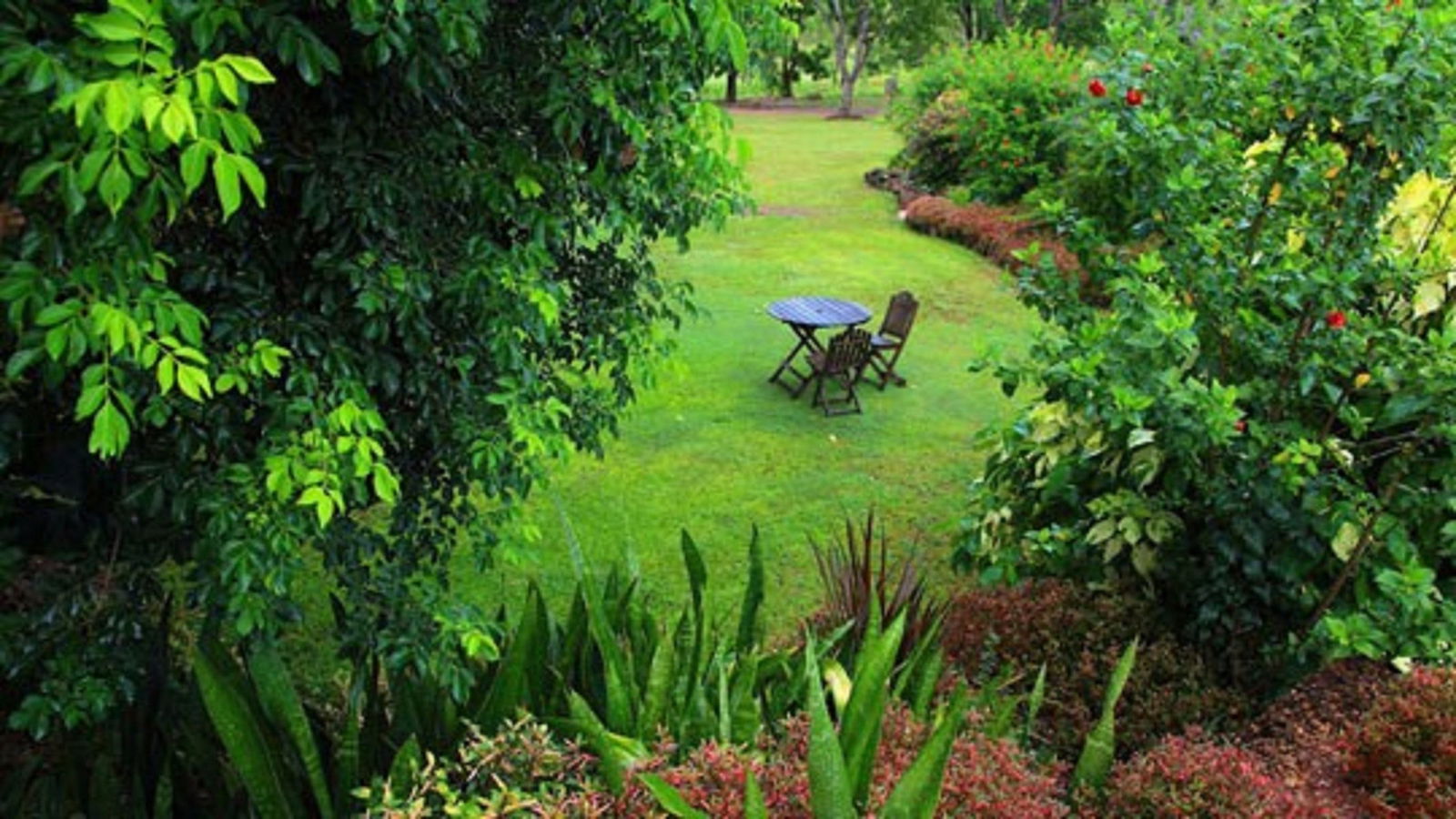 Emerald Springs NT Kempsey Accommodation
