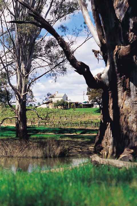 St Leonards Vineyard Café - Kempsey Accommodation 1