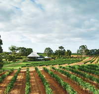 Vasse Felix Winery - Kempsey Accommodation