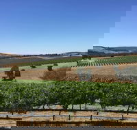 Peerick Vineyard and Winery - Kempsey Accommodation