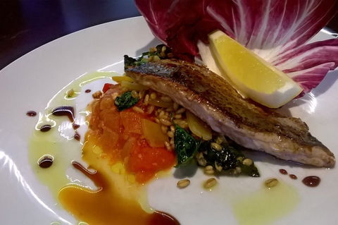 X74 - Kempsey Accommodation 0