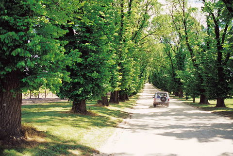 All Saints Estate - Kempsey Accommodation 1