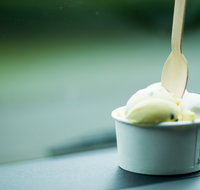 Daintree Ice Cream Company - Kempsey Accommodation