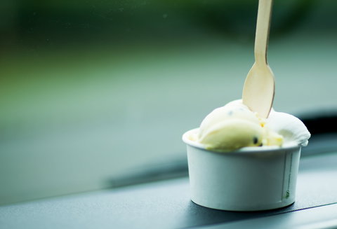 Daintree Ice Cream Company - Kempsey Accommodation 0