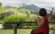 Daintree Ice Cream Company - thumb 1