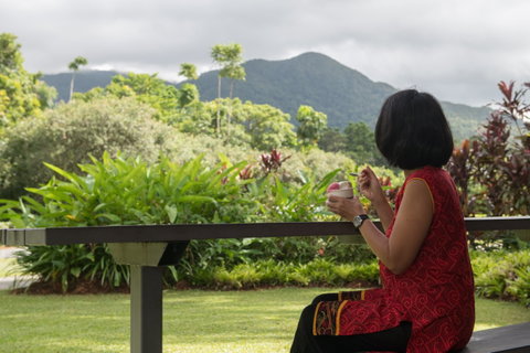 Daintree Ice Cream Company - Kempsey Accommodation 1