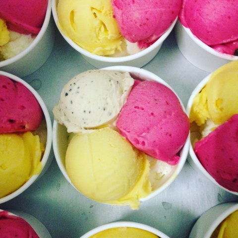 Daintree Ice Cream Company - Kempsey Accommodation 2