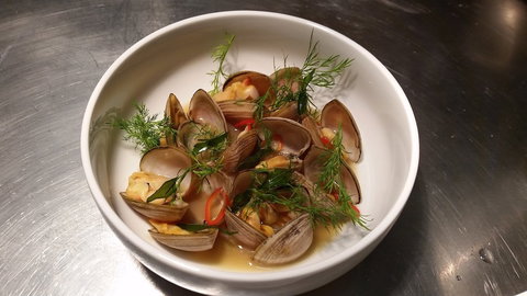 Anchovy - Kempsey Accommodation 0