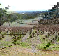 Habitat Vineyard - Kempsey Accommodation