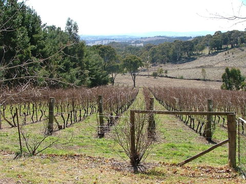 Habitat Vineyard - Kempsey Accommodation 0
