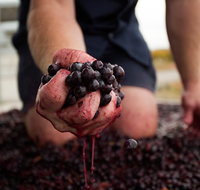 Tomfoolery Wines - Kempsey Accommodation