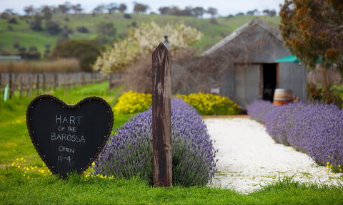 Hart Of The Barossa - Kempsey Accommodation 0