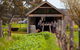 Hart Of The Barossa - thumb 1