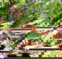 Jaques Coffee Plantation - Kempsey Accommodation