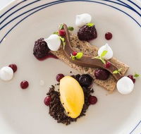 Wild Herring - Kempsey Accommodation