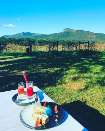 Mount Broke Wines Restaurant - Kempsey Accommodation 1