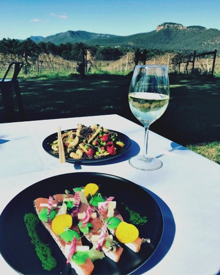 Mount Broke Wines Restaurant - Kempsey Accommodation 2
