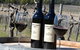 Mount Broke Wines Restaurant - thumb 5