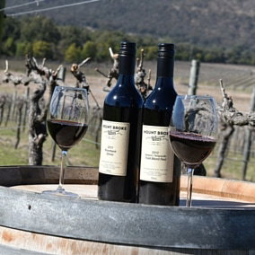 Mount Broke Wines Restaurant - Kempsey Accommodation 5