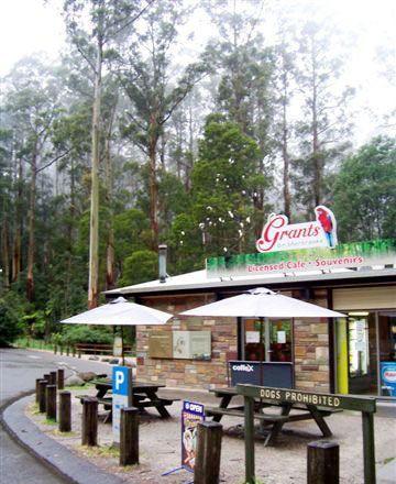 Kangaroo Island Fresh Seafoods And Takeaway - Kempsey Accommodation 5