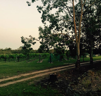 Brierley Wines - Kempsey Accommodation