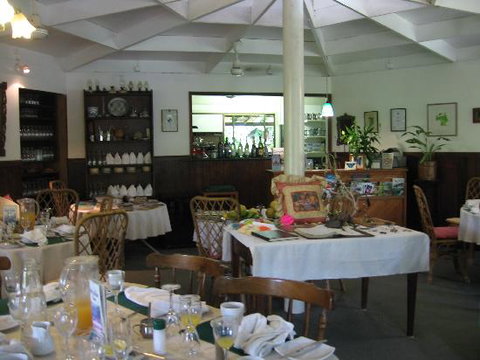 Daintree Tea House Restaurant - Kempsey Accommodation 0