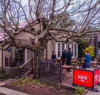 Ripe - Kempsey Accommodation