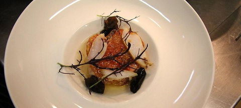 The Peak Restaurant At Spicers Peak Lodge - Kempsey Accommodation 1
