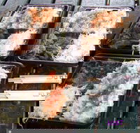 Bento Box Mortys - Kempsey Accommodation