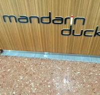 Mandarin Duck - Kempsey Accommodation
