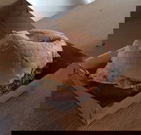 Toastee - Kempsey Accommodation