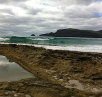Bruny Island Berry Farm - Kempsey Accommodation