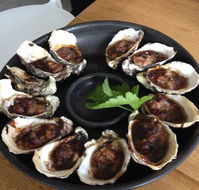Get Shucked Oyster - Kempsey Accommodation