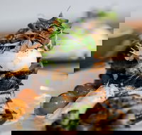 Inside Cafe Launceston - Kempsey Accommodation