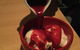 The Edge Restaurant - thumb 6