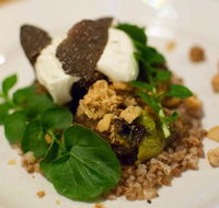 Foragers - Kempsey Accommodation